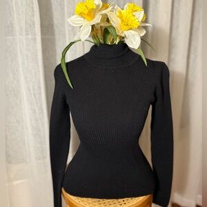 The Limited Merino Wool Turtleneck Black